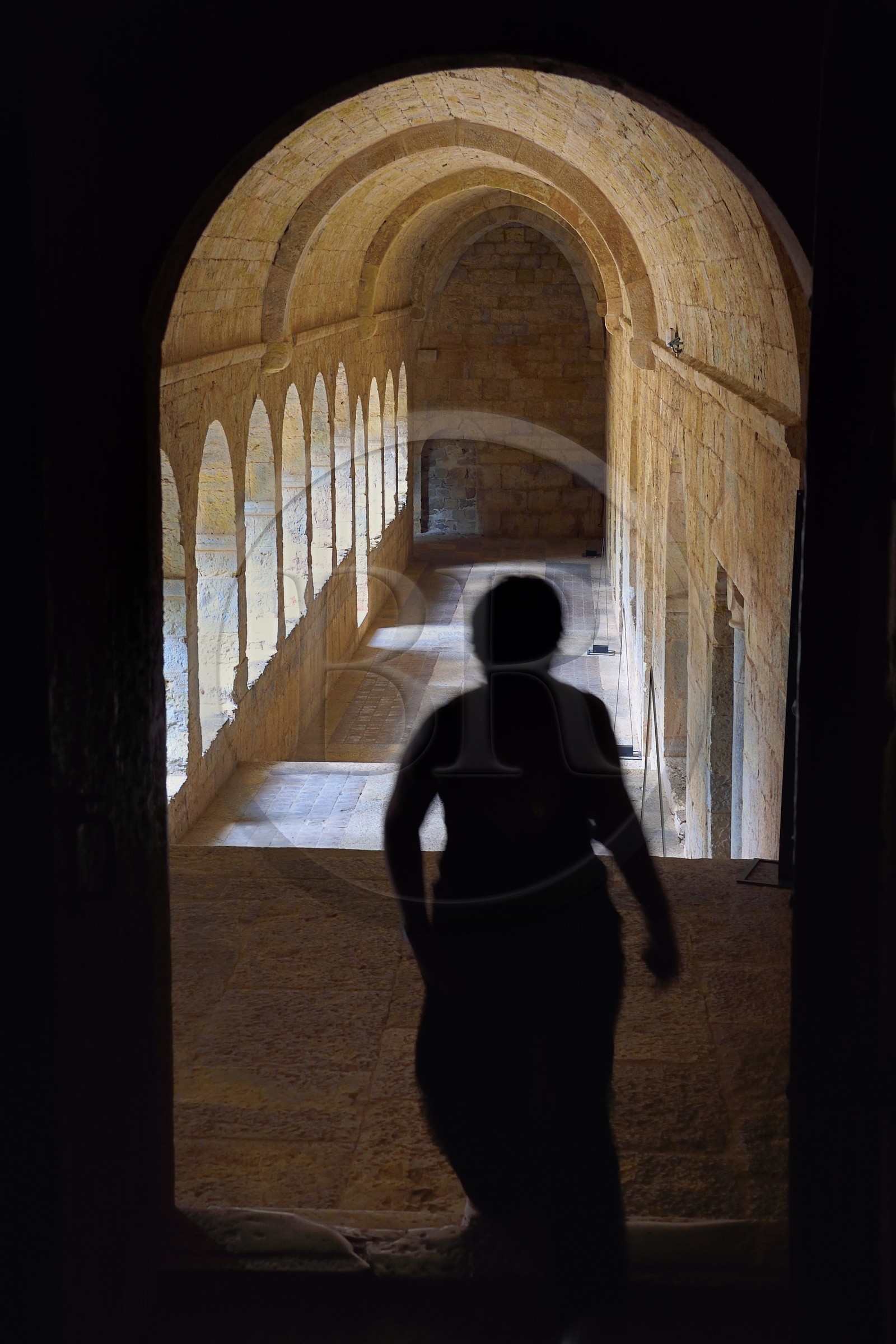 France, Var (83), Abbaye cistercienne du Thoronet, la galerie Est du cloitre