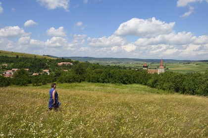 Roumanie, Transylvanie, région de Sighisoara, fermière dans un près surplombant le village de Movile et son église fortifiée