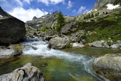 France, Alpes-Maritimes (06), parc national du Mercantour, Haute-Vésubie, vallon de la Gordolasque