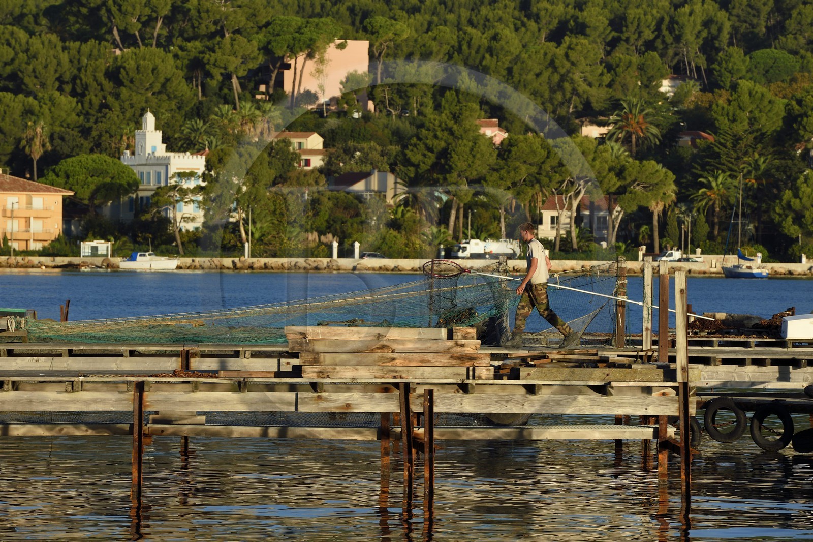 France, Var (83), la rade de Toulon, La Seyne-sur-Mer, parc à moules et huitres, ferme d'aquaculture