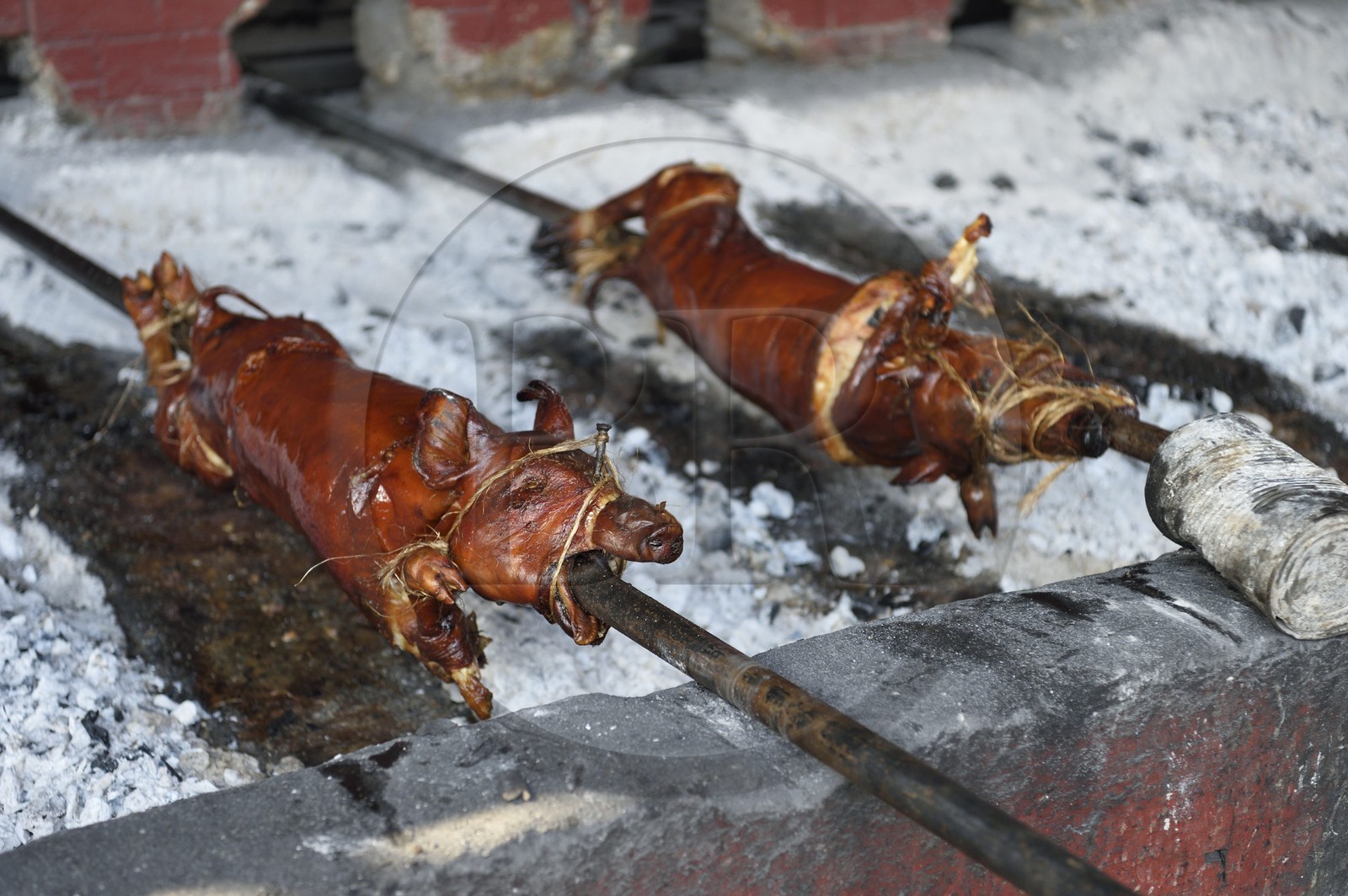 Philippines, Ile de Luzon, Manille, quartier La Loma, cochon de lait roti à la broche (lechon)