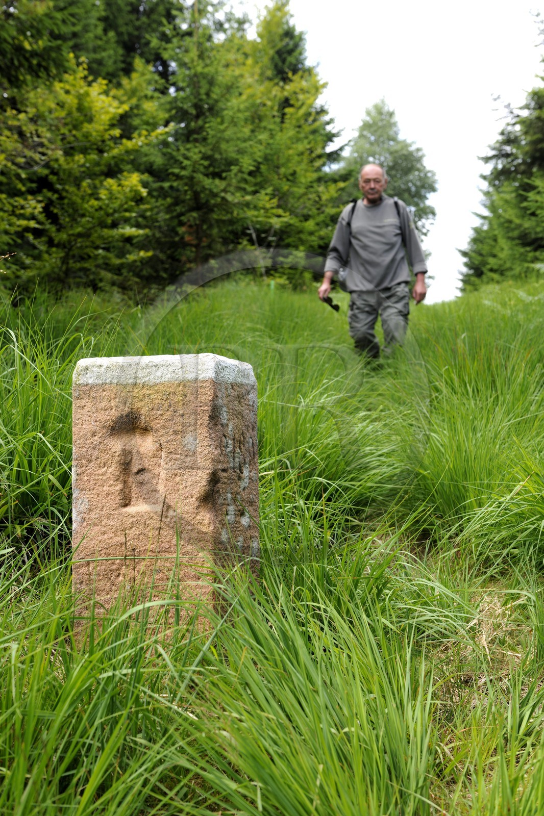France, Vosges (88), chemin des passeurs au Donon sur la trace de la filière d'évasion du Rehtal, ancienne borne frontière avec un D pour Deutschland