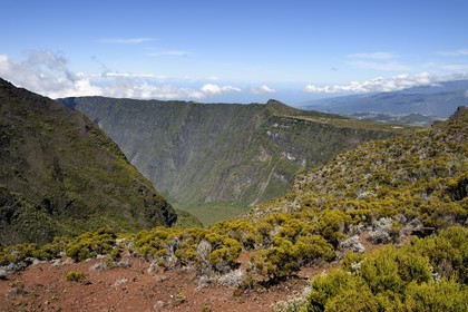 France, Ile de la Reunion, Parc National de la Réunion classé Patrimoine Mondial de l'UNESCO, volcan du Piton de la Fournaise, vallée de la Rivière des Remparts