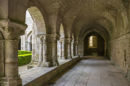 France, Vendée (85), Nieul-sur-l'Autise, Abbaye royale Saint-Vincent fondée en 1069, abrite la tombe d'Aénor de Châtelleraut mère d'Alienor d'Aquitaine, le cloitre