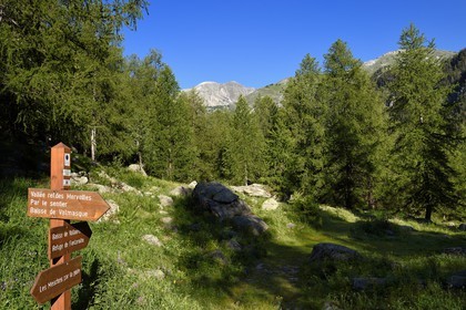 France, Alpes-Maritimes (06), parc national du Mercantour, vallon de la Minière en contrebas de la Vallée des Merveilles, panneau indicateur du sentier d'accés et le Mont Bégo en arrière plan