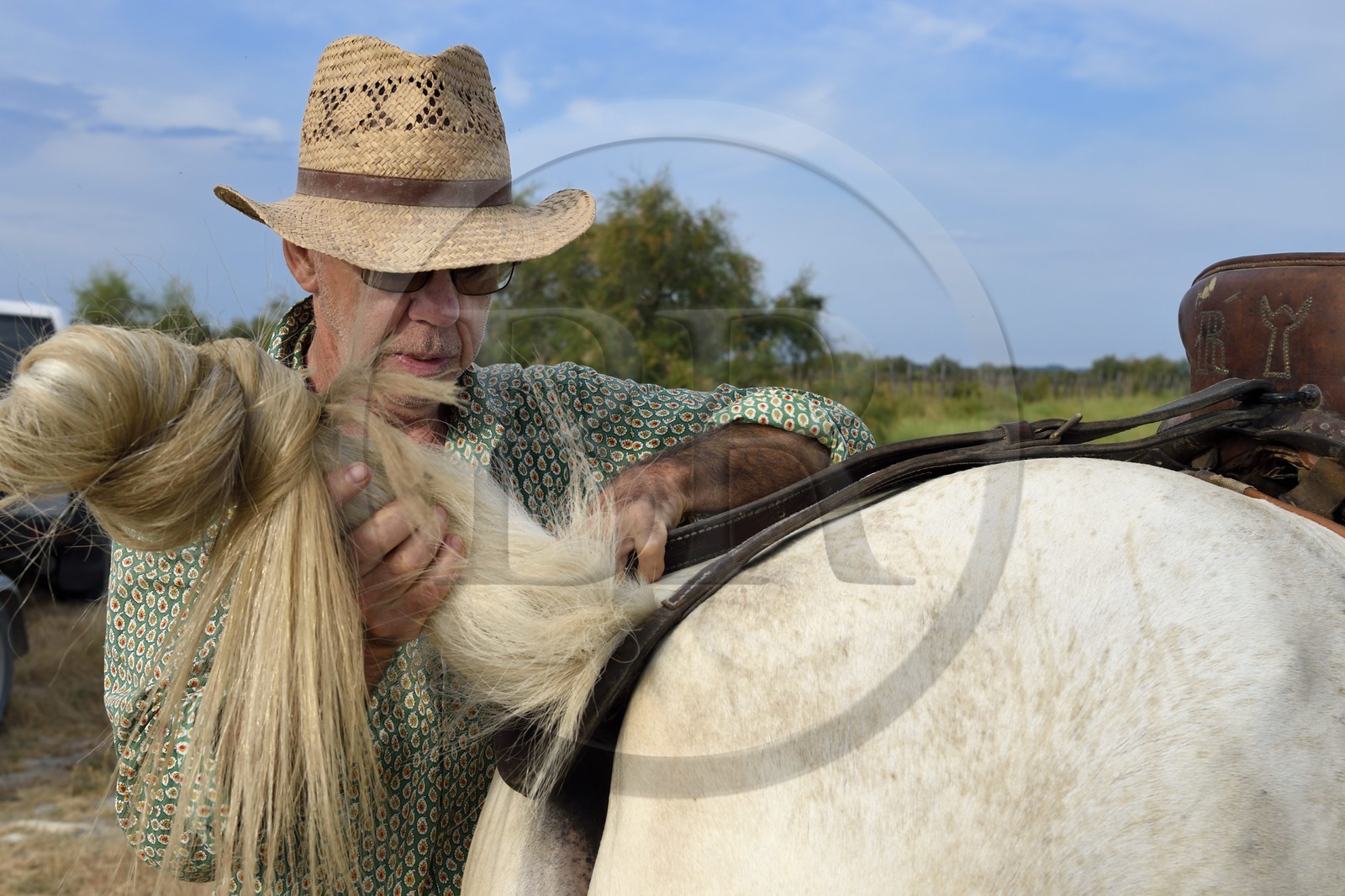France, Bouches-du-Rhône (13), Parc naturel régional de Camargue, manade Jacques Mailhan, le gardian Jean Marie Londez harnachant son cheval