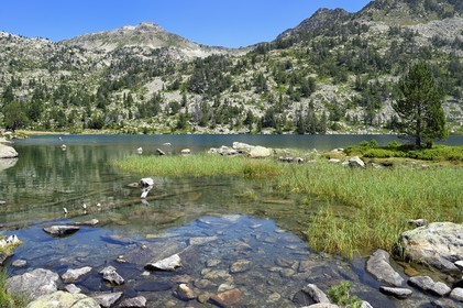 France, Hautes-Pyrénées (65), Saint-Lary-Soulan et Vielle-Aure, Réserve naturelle nationale du Néouvielle, randonnée des lacs du Neouvielle, lac d'Aumar