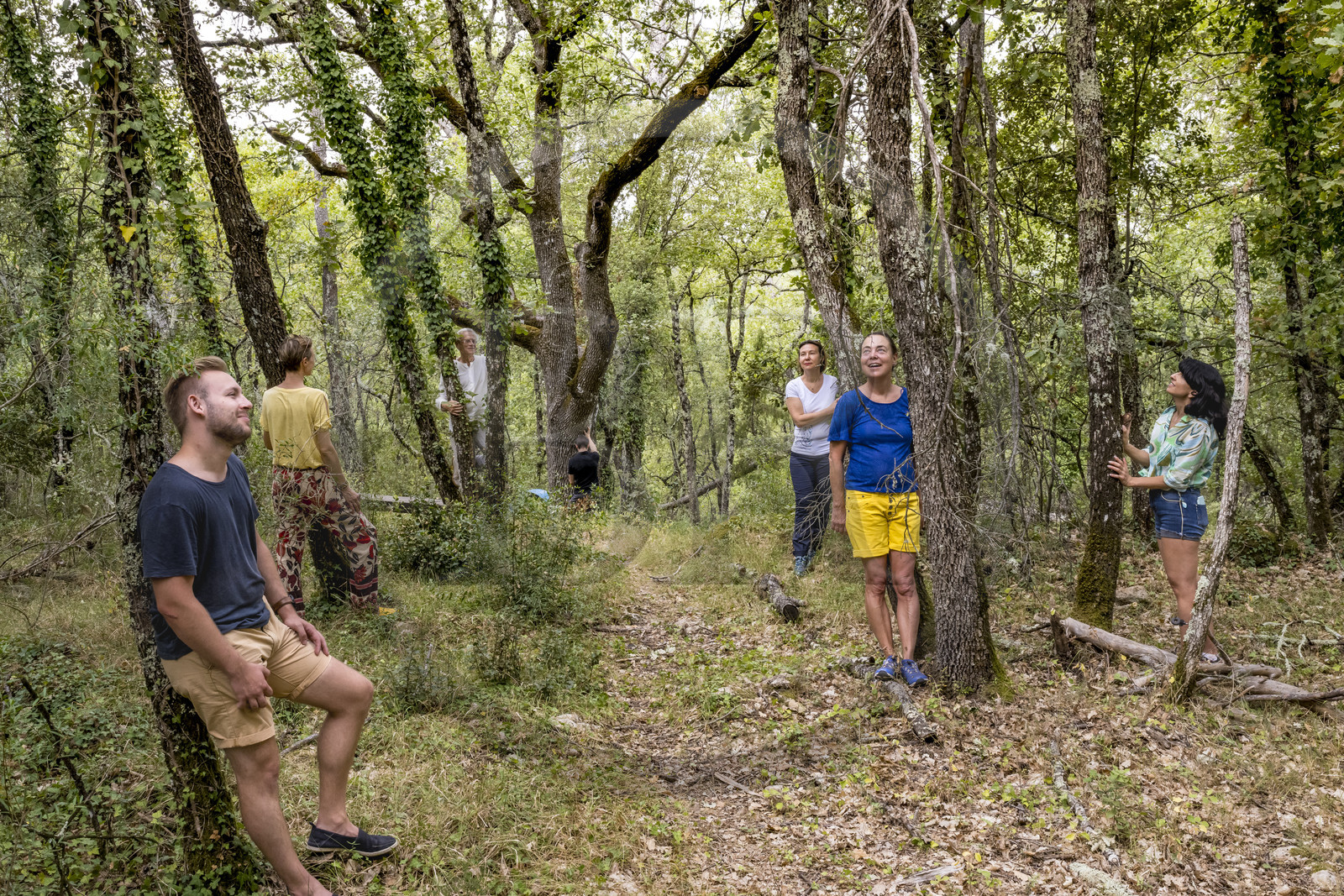 France, Var (83), Provence Verte, Bras, Académie du Bain de Forêt Provençale, forêt du domaine Le Peyrourier - une campagne en Provence