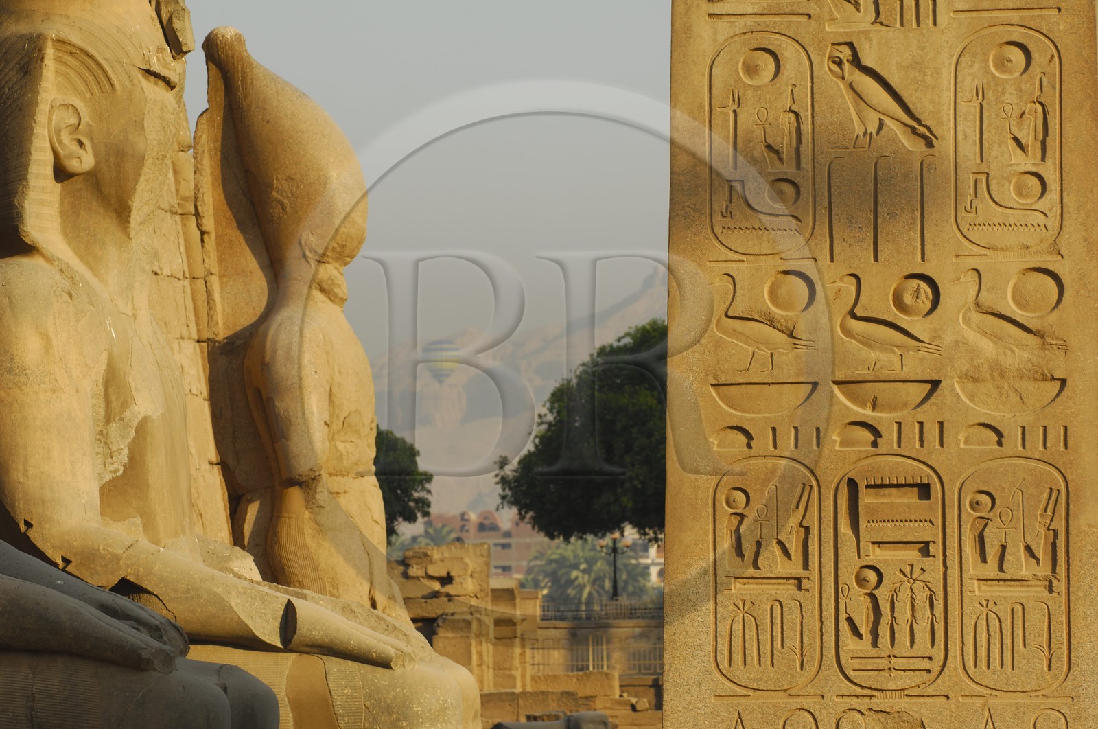 Egypte, Haute Egypte, vallée du Nil, temple de Louxor classé Patrimoine Mondial de l'UNESCO, détail de l'obélisque