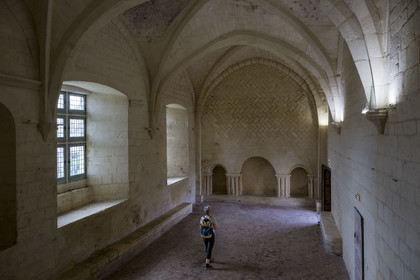 France, Charente-Maritime (17), l'ancien prieuré Saint-Jean-l'Evangéliste de Trizay appelé abbaye de Trizay abrite un centre d'art contemporain, le réfectoire du XV-XVIème siècle et ses peintures au plafond