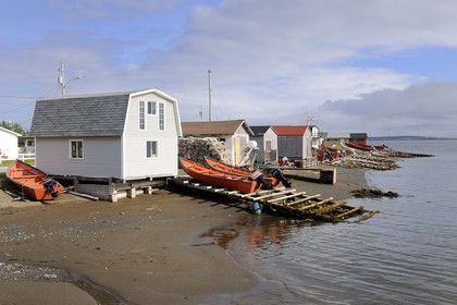Canada, Newfoundland and Labrador Province, Newfoundland Island, Corner Brook Fjord, on the Capitain Cook's footsteps, fishermen village of Frenchman's Cove