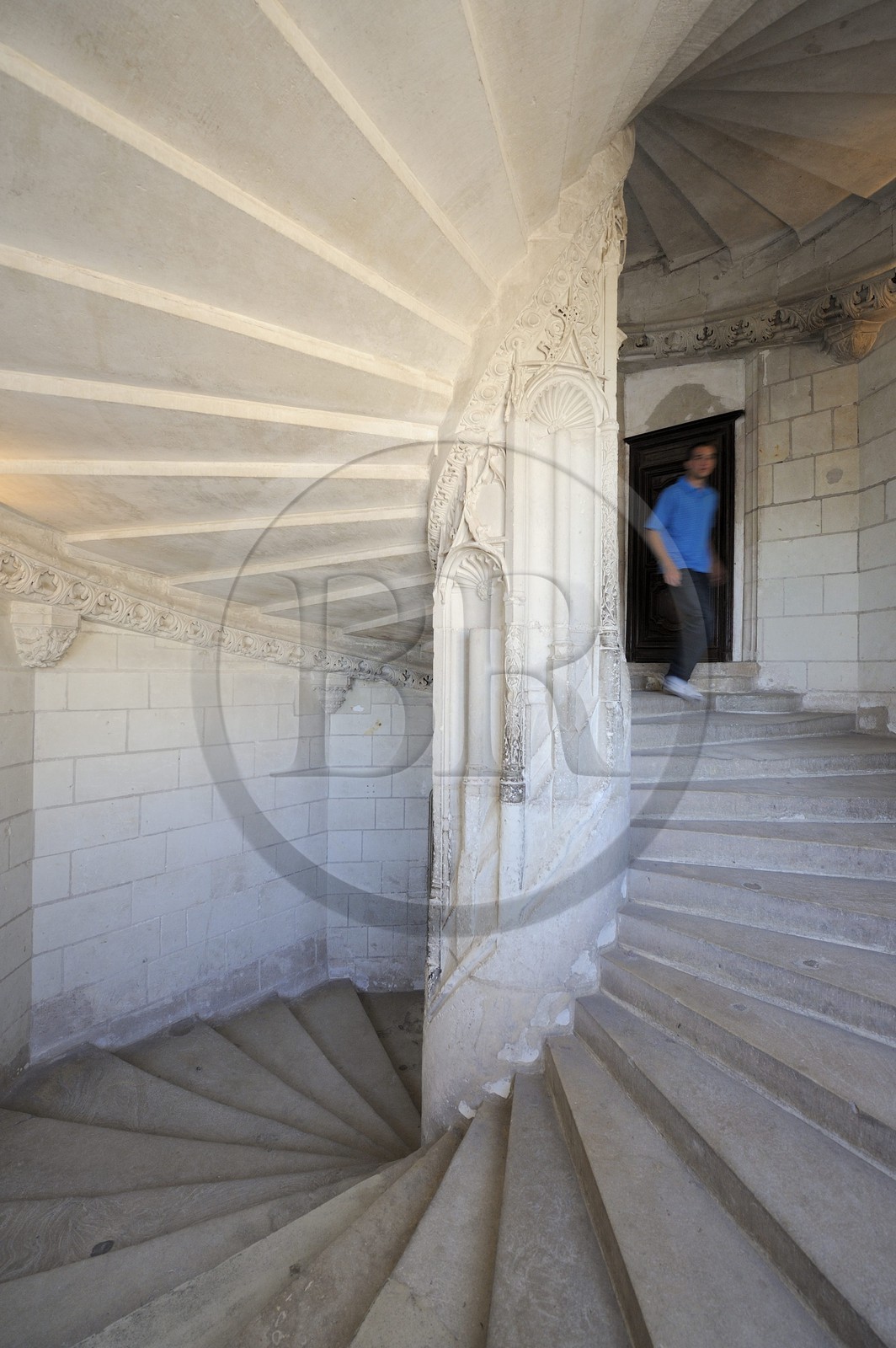 France, Loir et Cher, Loire Valley, listed as World Heritage by UNESCO, Chaumont sur Loire castle, staircase