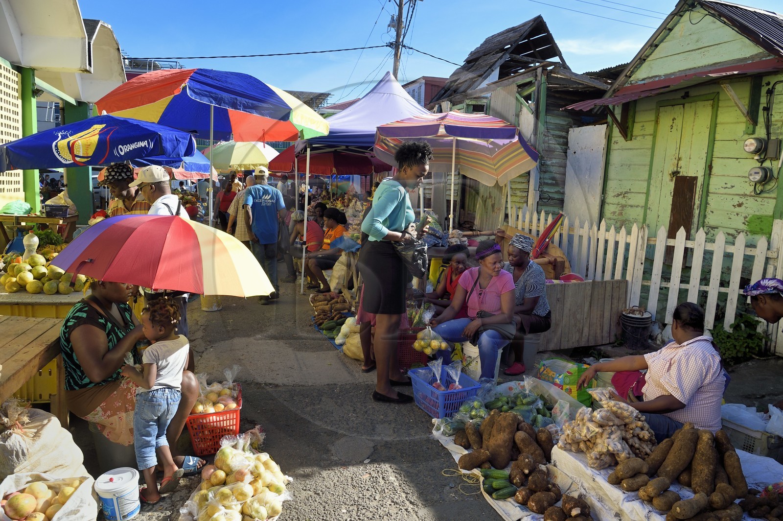 Caribbean, Dominica Island, the capital city Roseau, fruit and vegetable stall sales near the central market