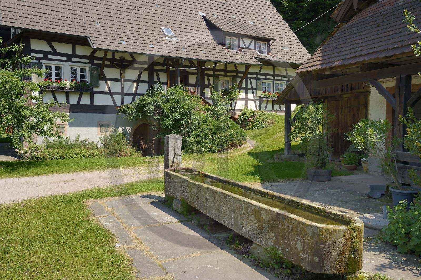 Allemagne, Bade-Wurtemberg, Durbach, abreuvoir devant une ferme à pan de bois