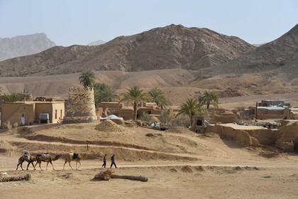 Iran, Province d'Ispahan, désert du Dasht-e Kavir, l'oasis d'Arousan dans la région de Khur et Biabanak