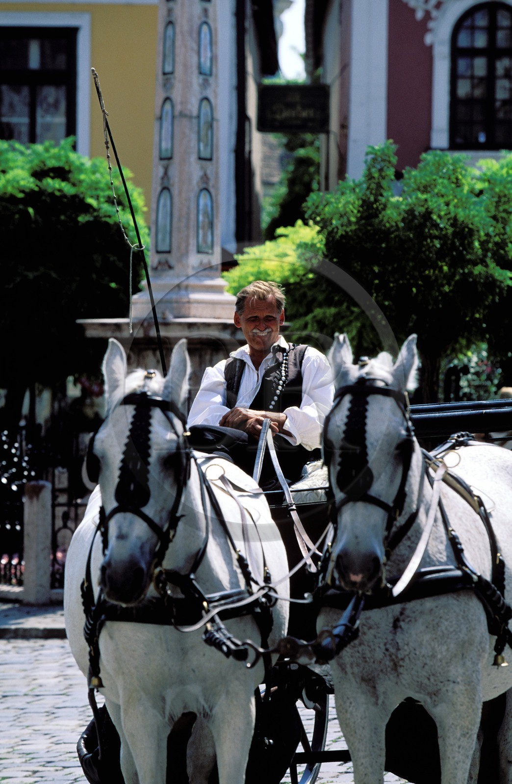 Hungary, county Pest, city of Szentendre on the Danube curve, horse carriage on the main square