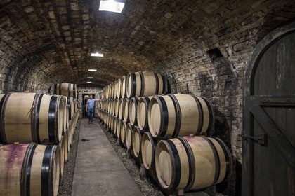 France, Côte-d'Or (21), Paysage culturel des climats de Bourgogne classés Patrimoine Mondial de l'UNESCO, Route des Grands Crus, vignoble de la Côte de Nuit, Gevrey-Chambertin, Domaine Dugat, Bertrand Dugat dans les cave sous l'ancien Cellier des Dimes des évêques de Langres où il entrepose ses tonneaux