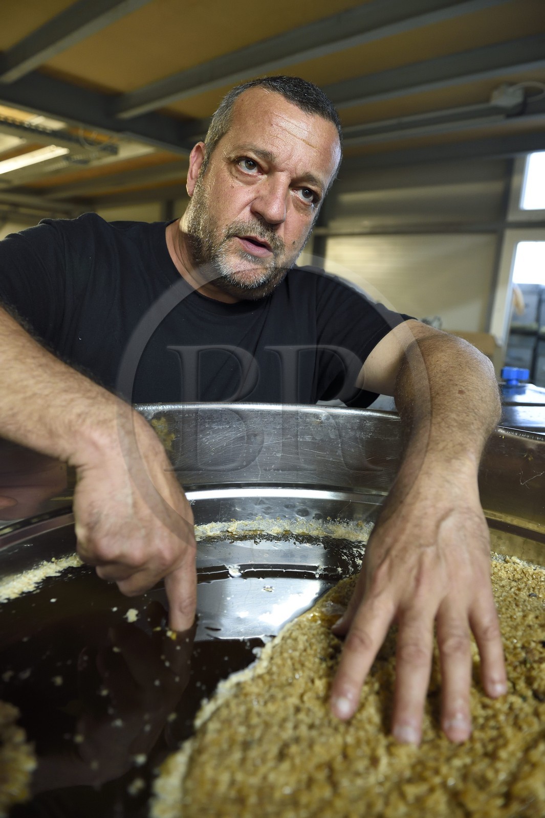 France, Corse-du-Sud (2A), Vallée du Prunelli, Ocana, Le jardin des Abeilles, l'apiculteur Denis Casalta présente son miel