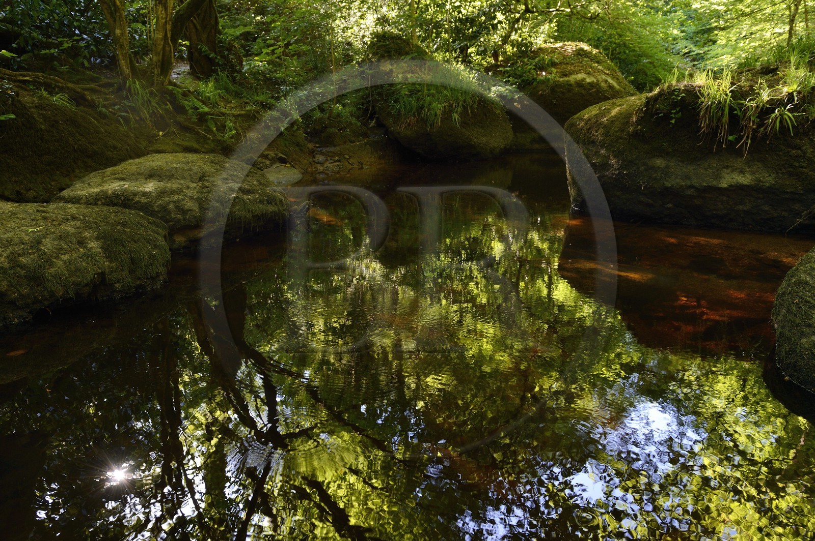 France, Finistère (29), parc naturel régional d'Armorique, Huelgoat, chaos granitique de la forêt du Huelgoat, la forêt se reflète dans l'eau de la rivière d'Argent qui prend parfois une couleur rouge sang