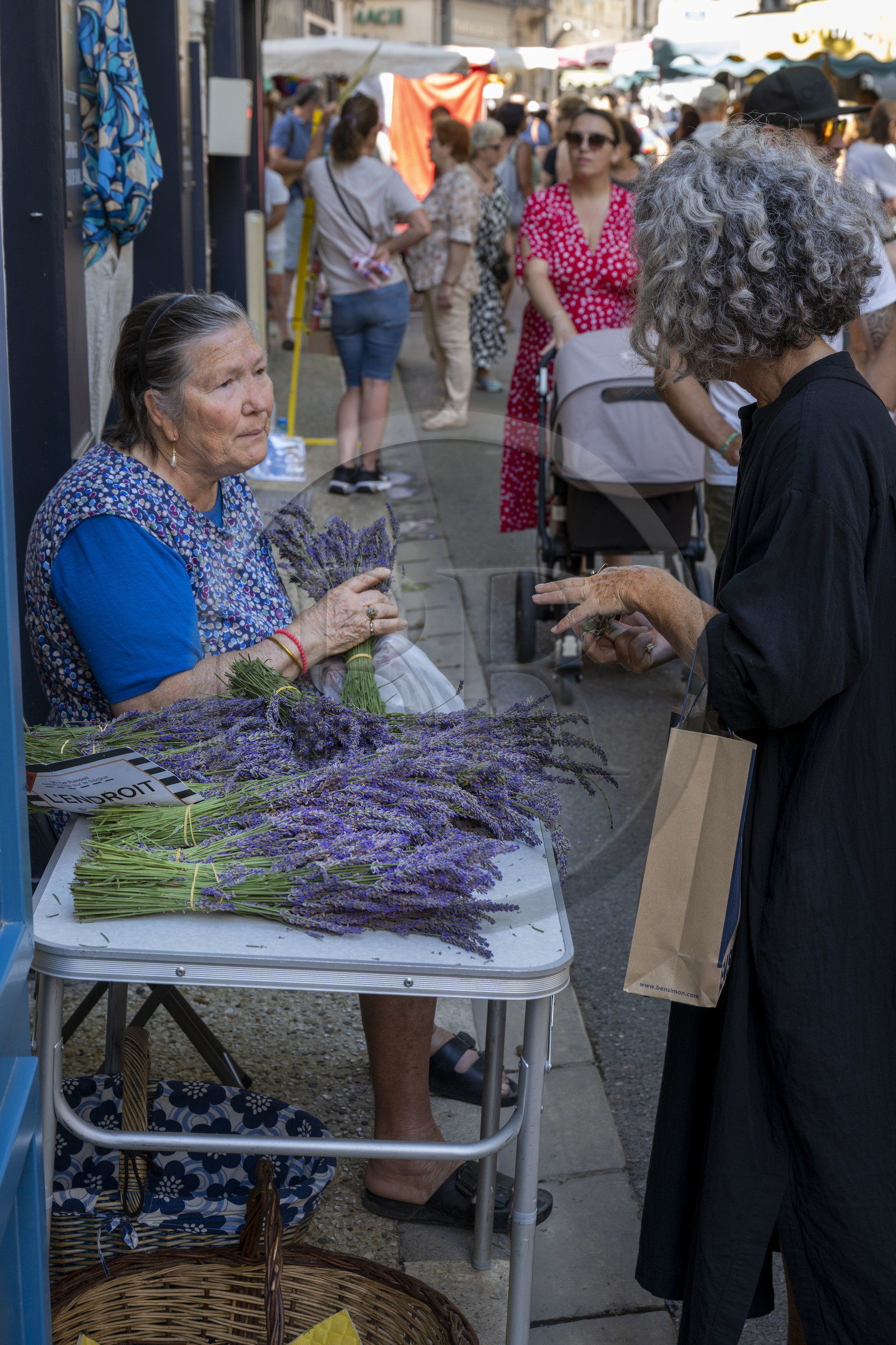 France, Bouches-du-Rhône (13), Parc Naturel Régional des Alpilles, Saint-Rémy-de-Provence, vendeuse de bouquets de lavande sur le marché place Jules Pellissier