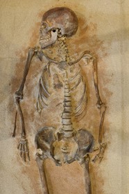 France, Corse-du-Sud (2A), Alta Rocca, village de Levie, Musée de l’Alta Rocca, la Dame de Bonifacio, plus ancien vestige mésolithique de Corse (6570 av.JC)