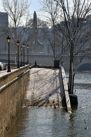 France, Paris, area listed as World Heritage by UNESCO, the banks of the Seine, classified World Heritage by UNESCO, the banks of the Seine in flood on the Ile Saint-Louis under the snow, the Tournelle bridge in the background