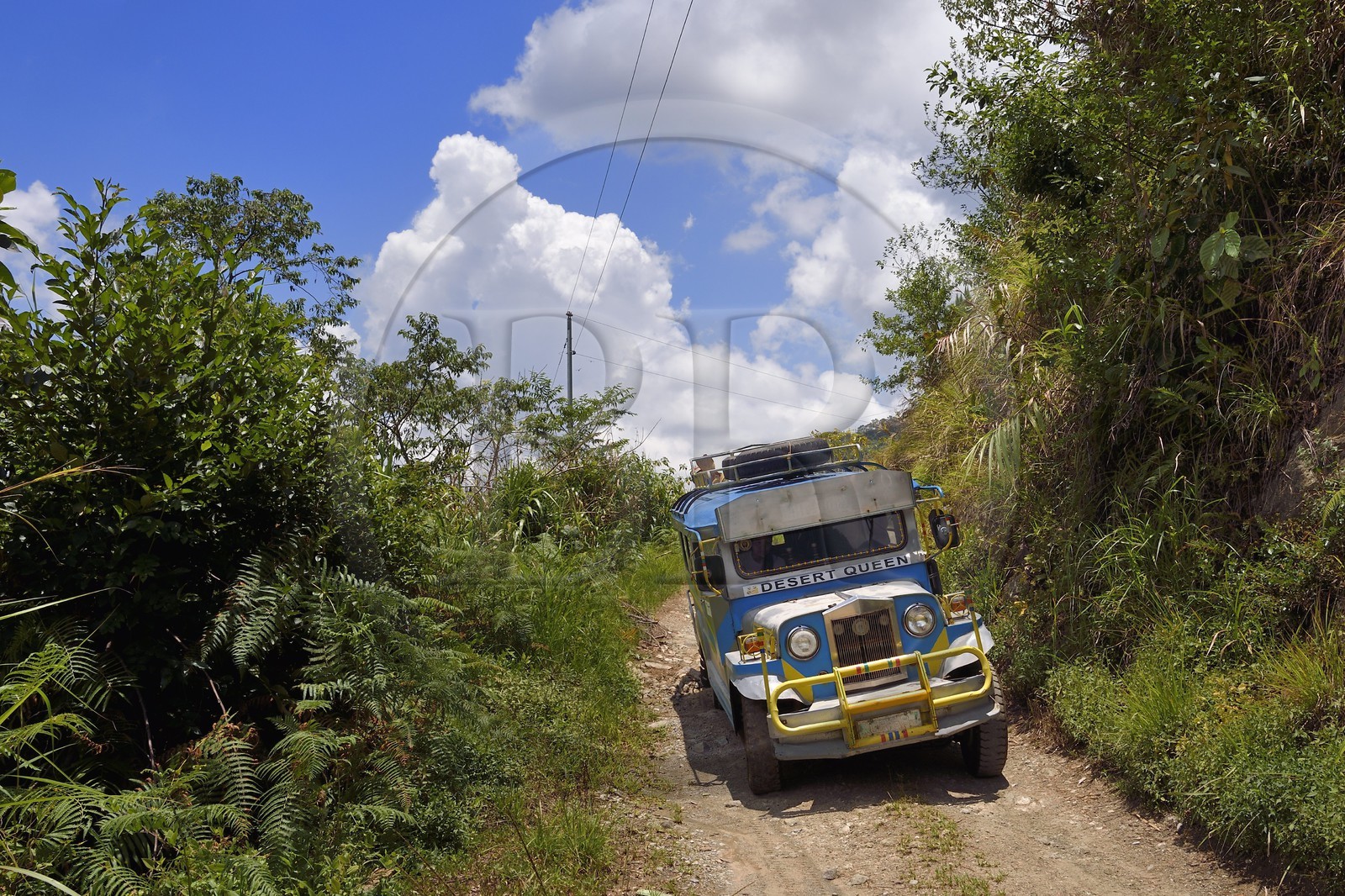 Philippines, Ifugao province, Banaue region, jeepney (elongated jeep to transport passengers) progressing on a mountain track to Cambulo