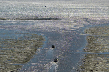 France, Charente Maritime, Oleron island, le Chateau-d'Oleron, oyster boat in the port exit channel at low tide and onshore fishermen on the foreshore (aerial view)