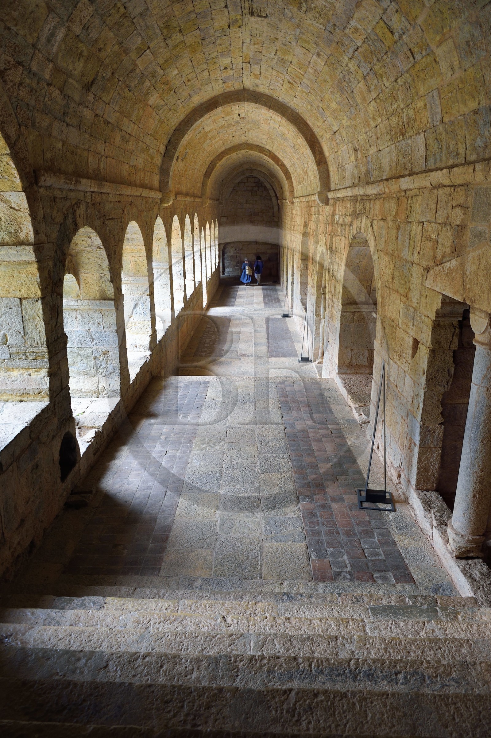 France, Var, the Thoronet cistercian abbey, the east gallery of the cloister
