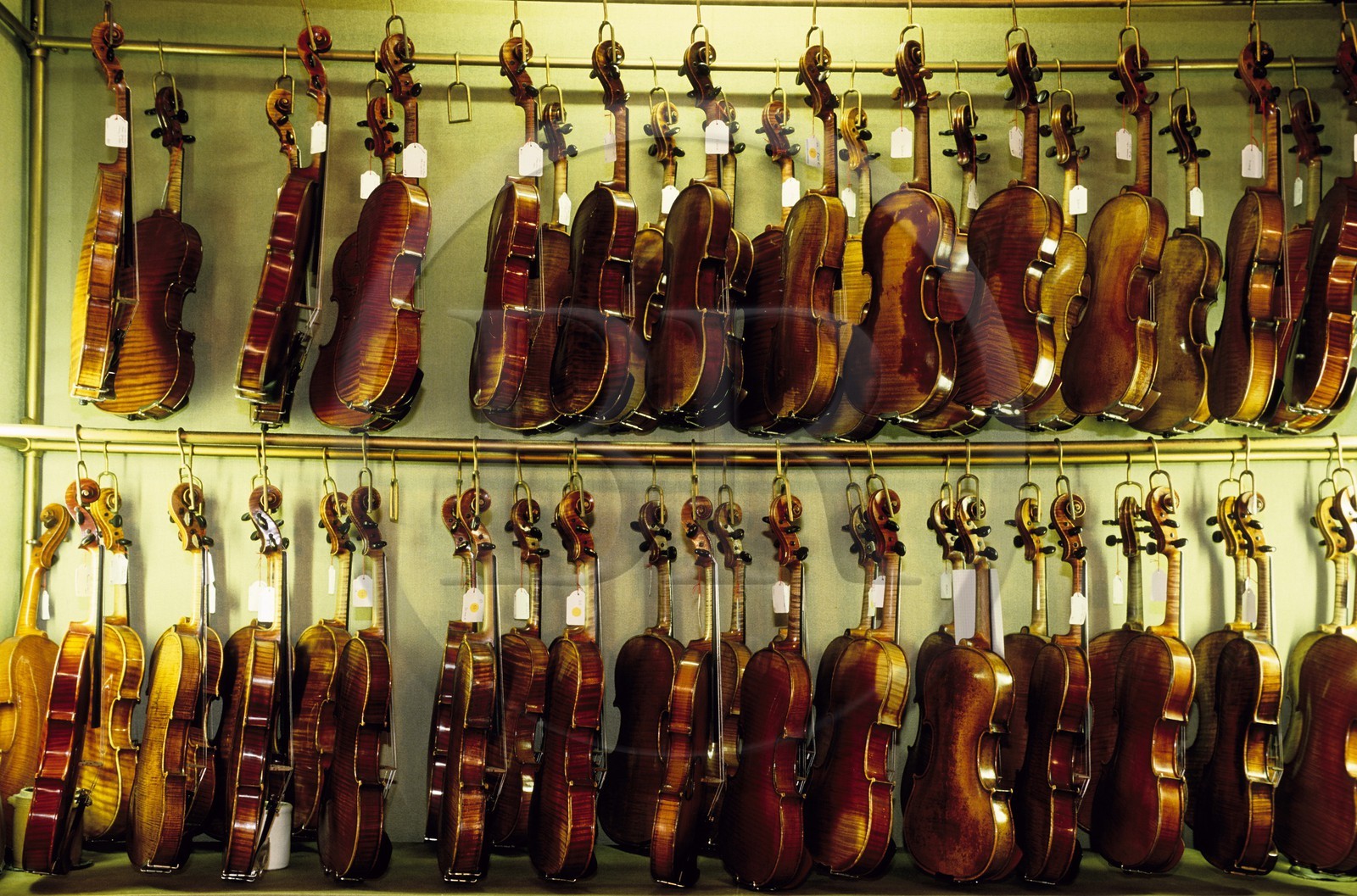 France, Paris (75), violons, lutherie Watelot-Rampal