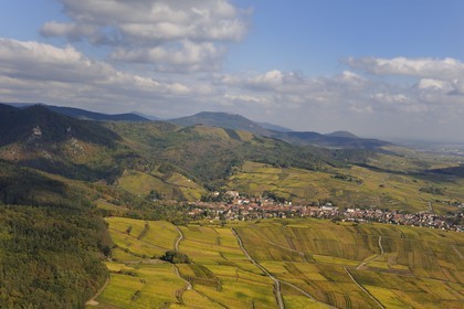 France, Haut Rhin, Ribeauville and its vineyard at the bottom of Vosges Massif (aerial view)