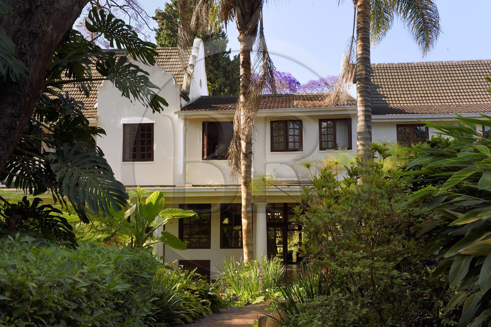 Zimbabwe, Harare, l'Hotel Bronte