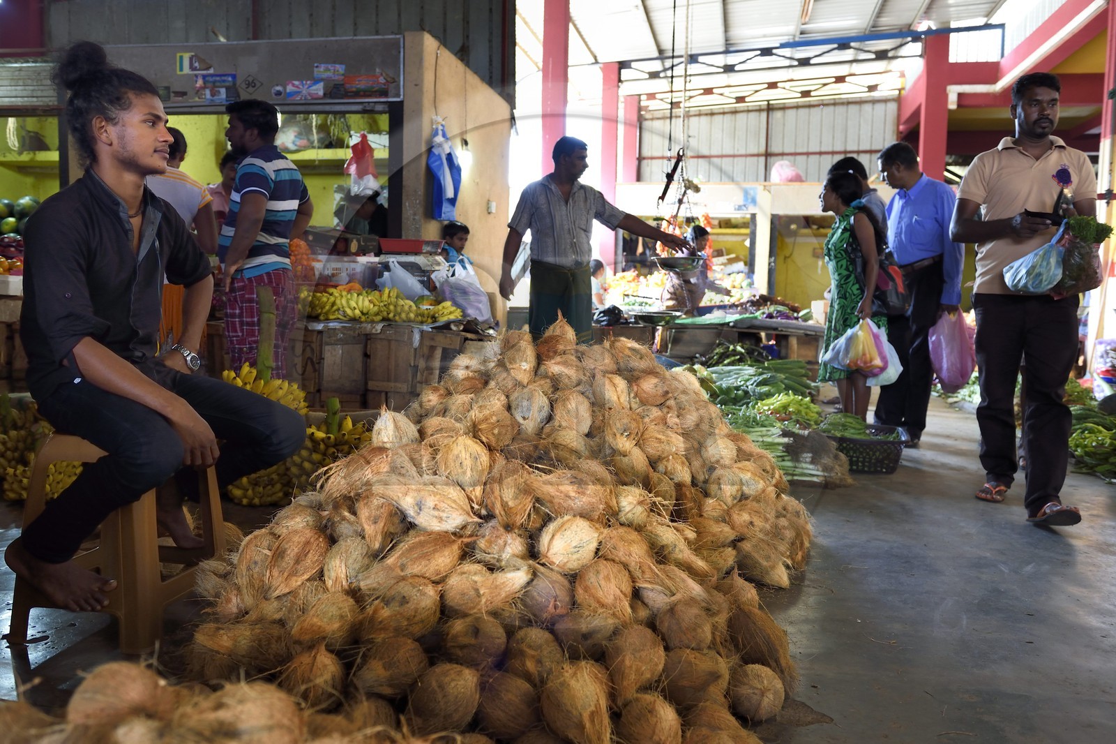Sri Lanka, province de l'Est, Trincomalee, le marché couvert, vendeur de noix de coco