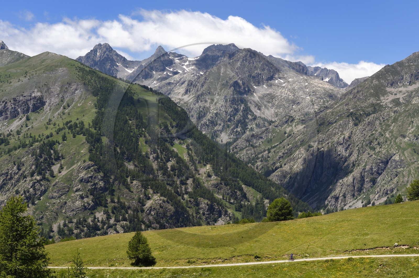 France, Alpes-Maritimes (06), vallée de la Roya, région de Tende à la baisse (col) de Peyrefique (2028 m) et surplombant la vallée de la Casterine, la vallée de Valmasque en arrière plan