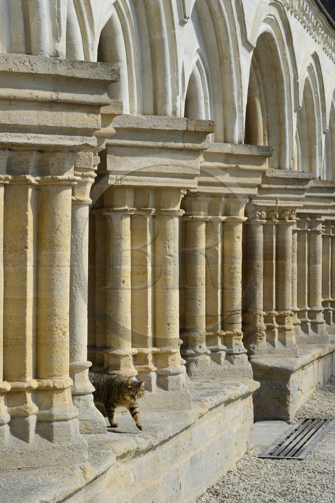 France, Marne, village of Saint-Amand-sur-Fion, Saint-Amand church, Champagne style porch of the twelfth century and rebuilt in the sixteenth century