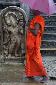 Sri Lanka, province du Centre-Nord, Polonnaruwa, l'ancienne capital du pays (XIe au XIIIe siècle) est classée au Patrimoine Mondial de l'UNESCO, terrasse de la relique de la dent, moine devant le Vatadage (chambre des reliques)