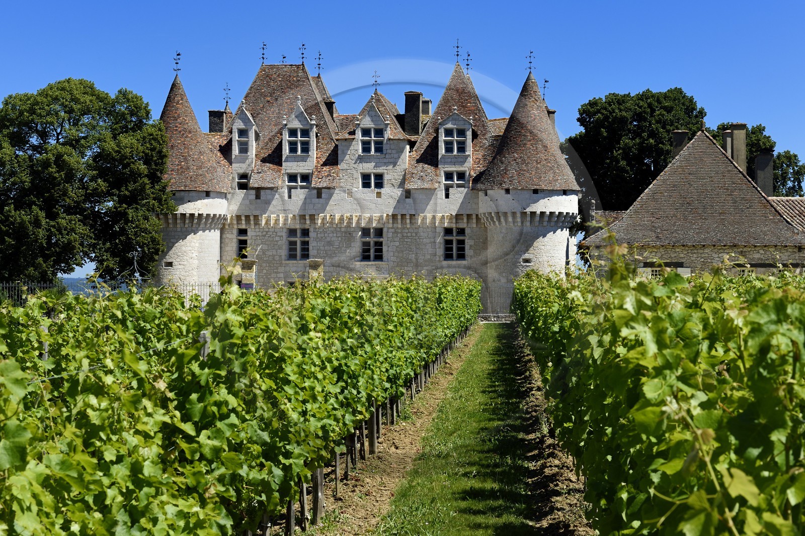France, Dordogne (24), Périgord Pourpre, Monbazillac, Chateau de Monbazillac au milieu de ses vignes