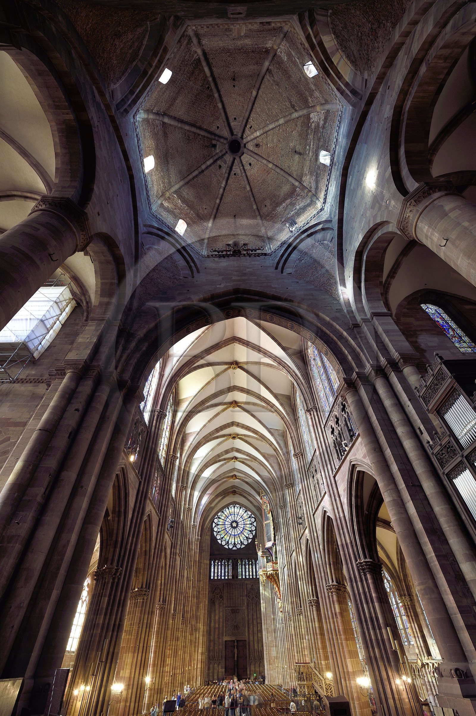 France, Bas-Rhin (67), Strasbourg, vieille ville classée au Patrimoine Mondial de l'UNESCO, la cathédrale Notre-Dame, la tour Klotz du choeur roman en haut et le plafond de la nef gothique en bas