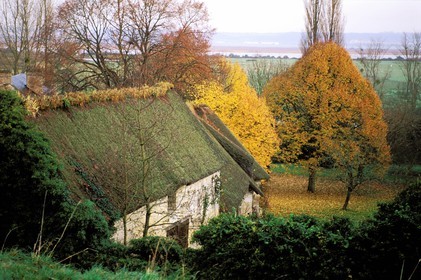 France, Eure (27), Marais-Vernier, maison traditionnelle à toit de chaume