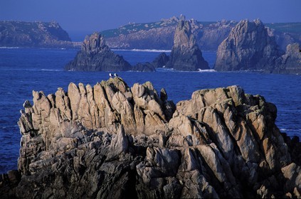 France, Finistère (29), île d'Ouessant, les rochers de la côte ouest