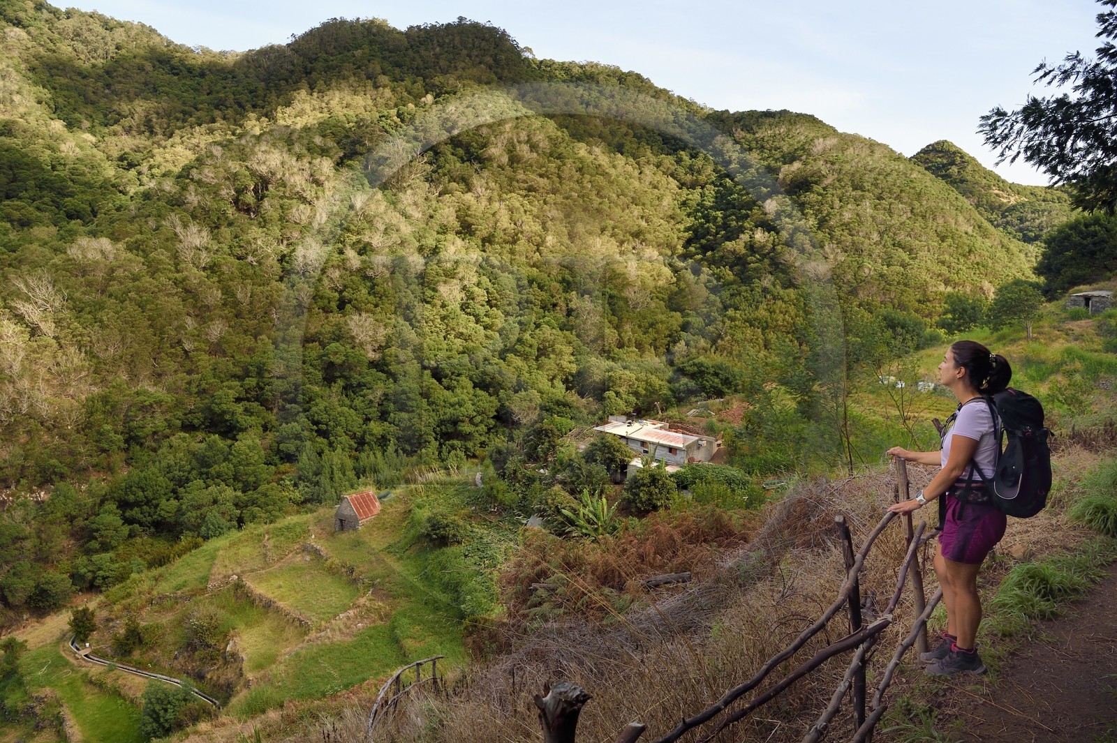 Portugal, Ile de Madère, randonnée de Machico à Porto da Cruz par le Vereda do Larano, petite ferme de montagne