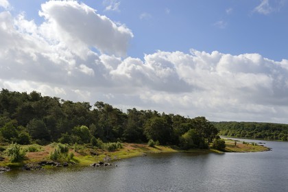 France, Morbihan (56), forêt de Brocéliande, Concoret, le château de Comper qui abrite les expositions du Centre de l'imaginaire arthurien, le Grand Etang ou Lac de Viviane