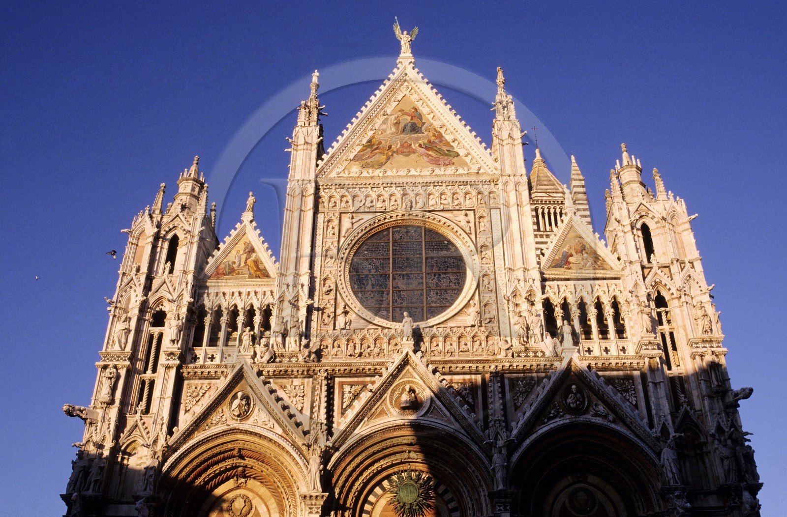 Italie, Toscane, Sienne, la cathédrale du Duomo de style romano-gothique