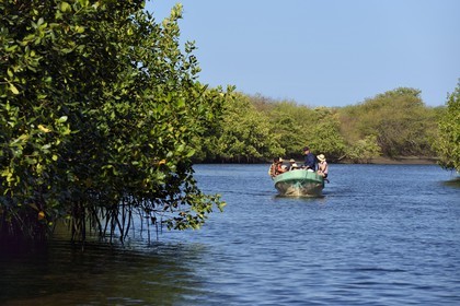 Nicaragua, la côte pacifique de Leon, découverte en bateau de la mangrove du parc national Isla Juan Venado