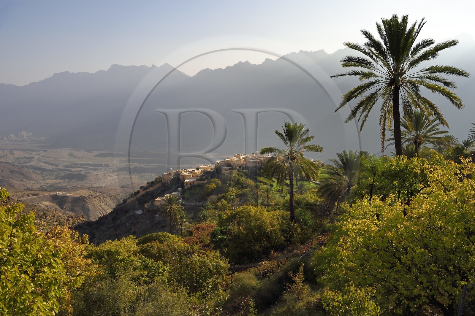 Sultanat d'Oman, Gouvernorat d'Al-Batina du Sud, Hajar occidental, Wadi Mistall, village de Wakan (Wukan) en dessous des cultures en terrasses