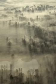 France, Calvados (14), La Rivière-Saint-Sauveur, la campagne au pied du Pont de Normandie à l'aube