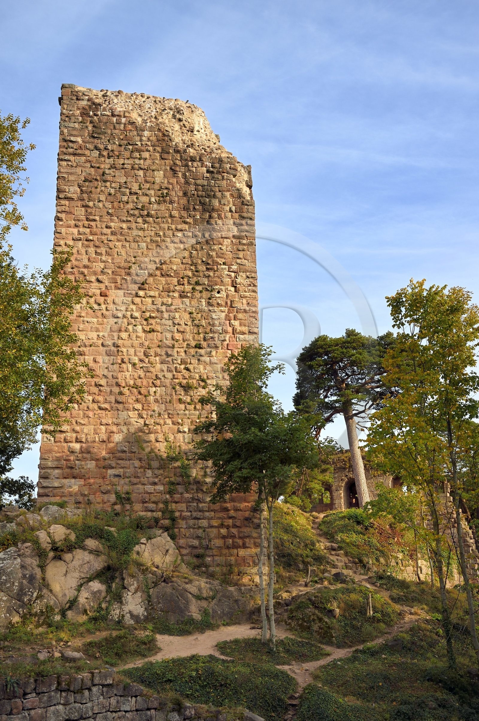 France, Bas-Rhin (67), Heiligenstein, chateau du Landsberg du XIIIème siècle, le donjon carré