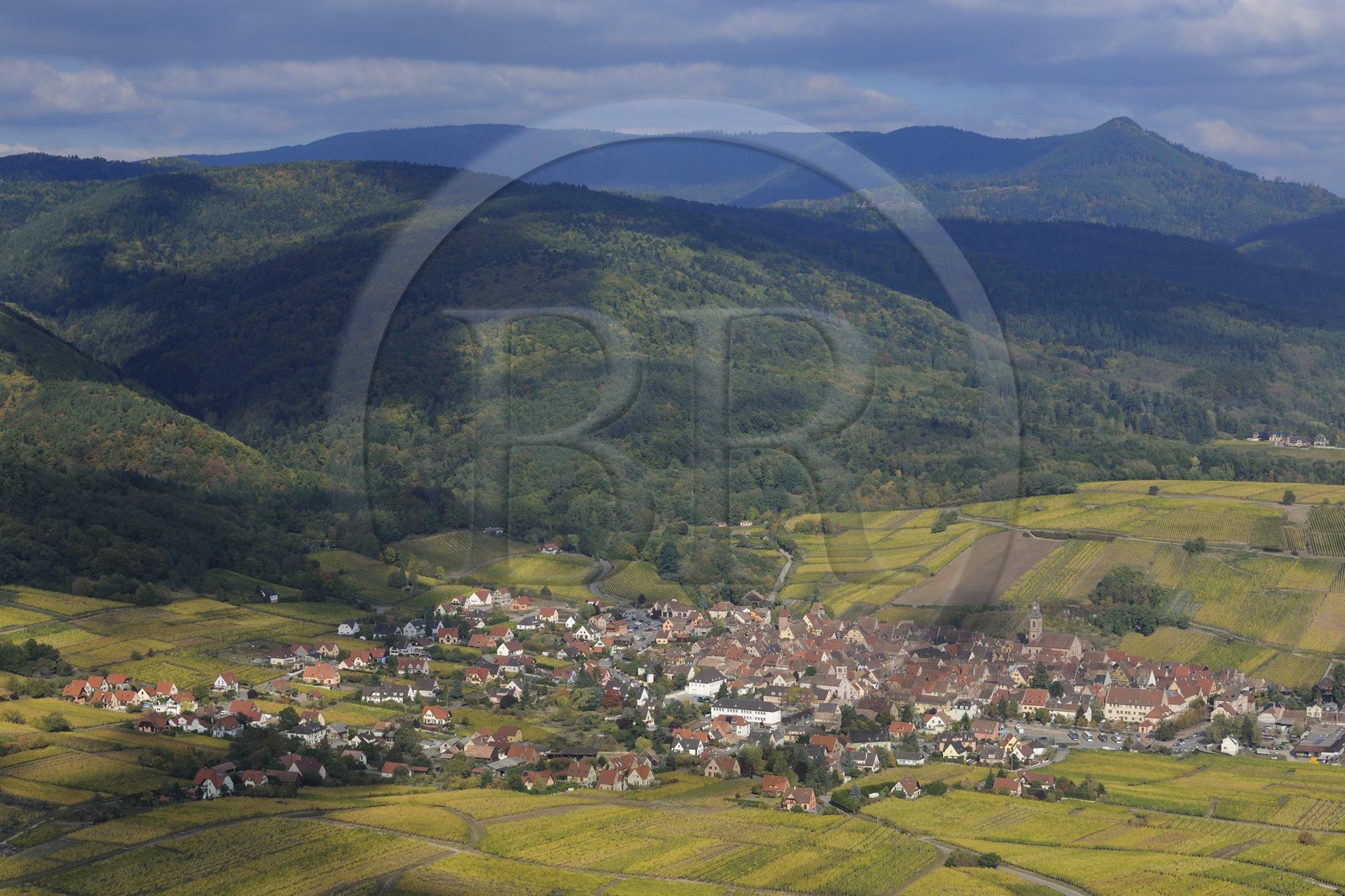 France, Haut Rhin, Riquewihr and its vineyard at the bottom of Vosges Massif (aerial view)