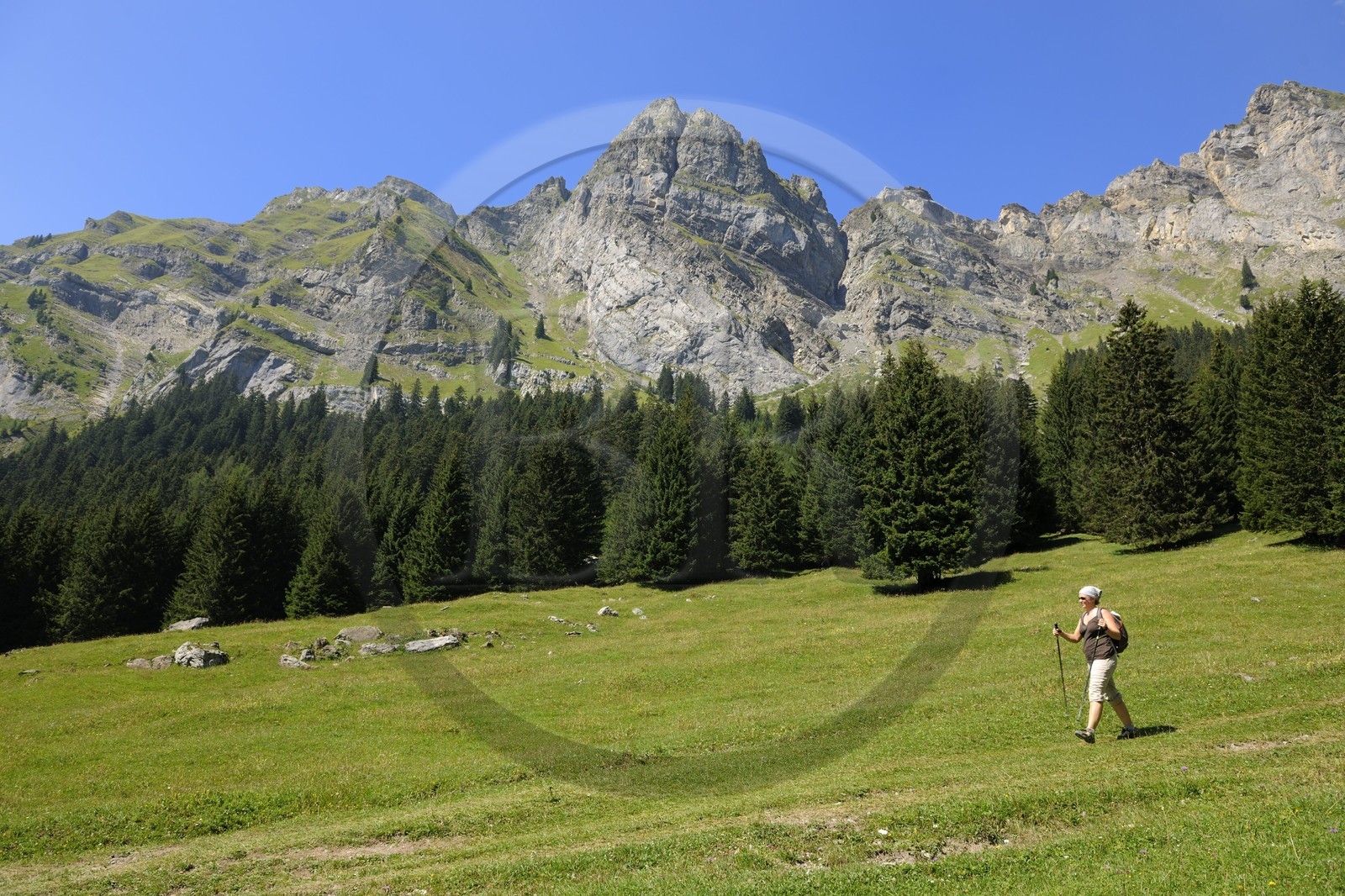 Suisse, canton de Vaud, Villars-sur-Ollon, vallée de Solalex dans le Parc naturel des Muverans