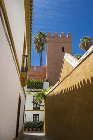 Espagne, Andalousie, Séville, ruelle de l'ancien quartier juif (Juderia) en bordure de l'Alcazar dans le quartier de Santa Cruz